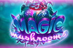 Magic Mushrooms